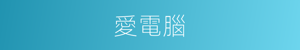 愛電腦的同義詞