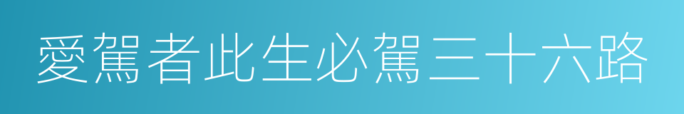 愛駕者此生必駕三十六路的同義詞