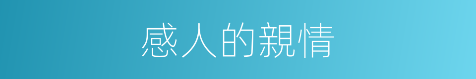 感人的親情的同義詞