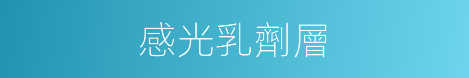 感光乳劑層的同義詞