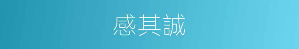 感其誠的同義詞