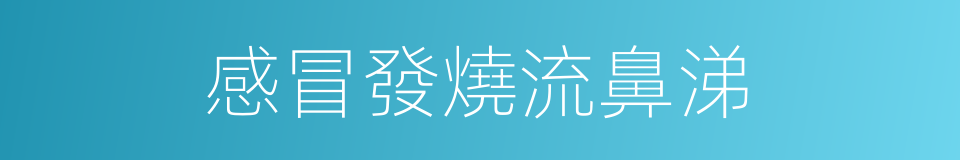 感冒發燒流鼻涕的同義詞