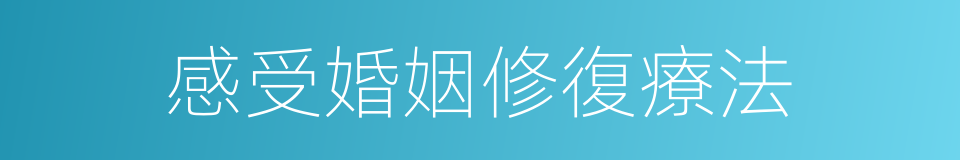 感受婚姻修復療法的同義詞