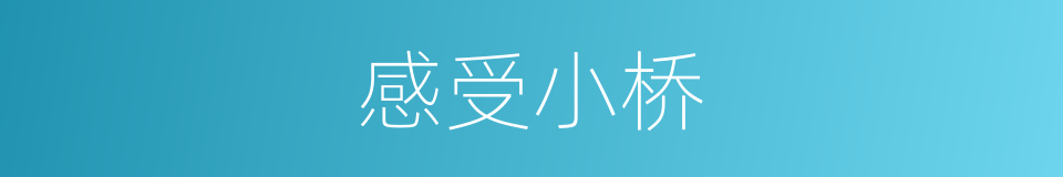 感受小桥的同义词