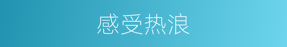 感受热浪的同义词