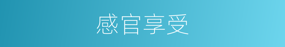 感官享受的同义词