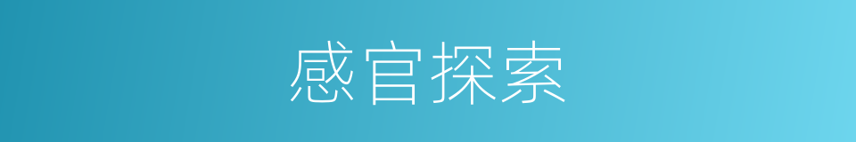 感官探索的同义词