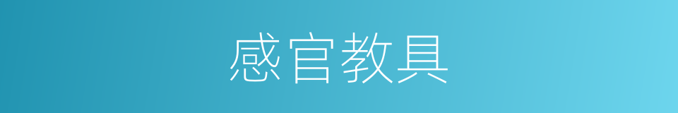 感官教具的同义词