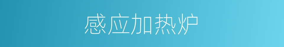 感应加热炉的同义词
