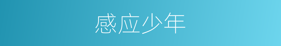 感应少年的同义词