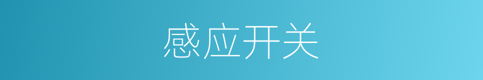 感应开关的同义词