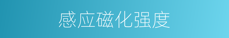 感应磁化强度的同义词