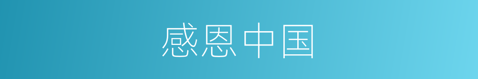 感恩中国的同义词