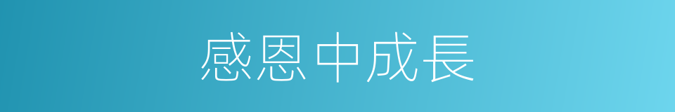 感恩中成長的同義詞