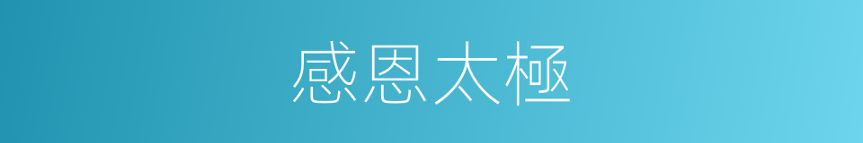 感恩太極的同義詞