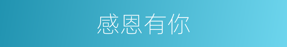感恩有你的意思