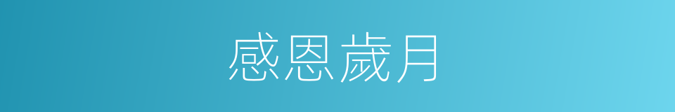 感恩歲月的同義詞