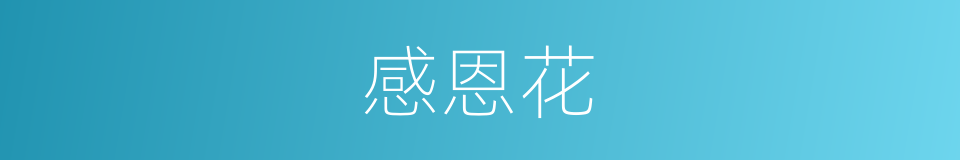 感恩花的同义词