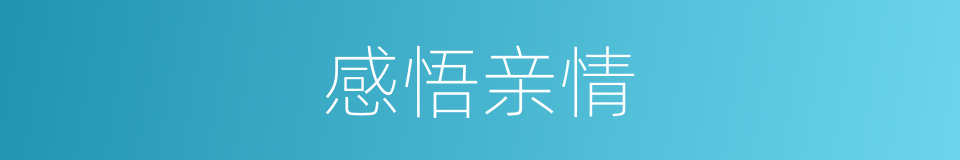 感悟亲情的同义词