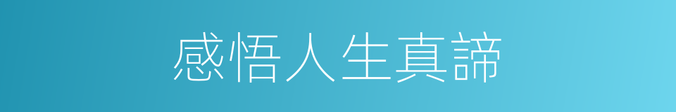 感悟人生真諦的同義詞