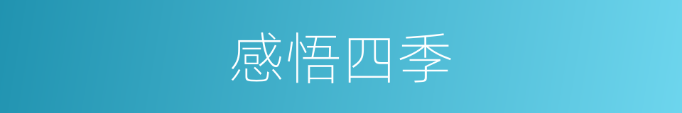 感悟四季的同义词