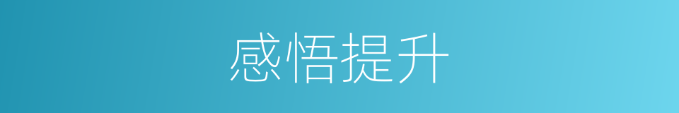 感悟提升的同义词