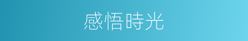 感悟時光的同義詞