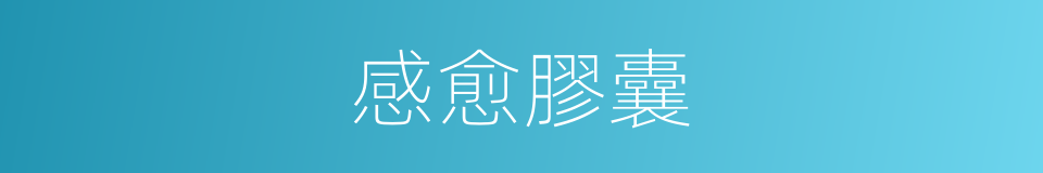 感愈膠囊的同義詞