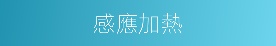 感應加熱的同義詞