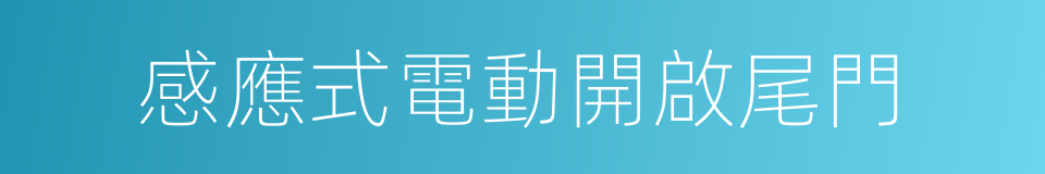 感應式電動開啟尾門的同義詞