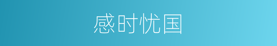 感时忧国的同义词