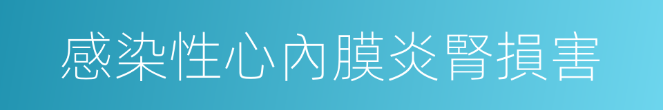 感染性心內膜炎腎損害的同義詞