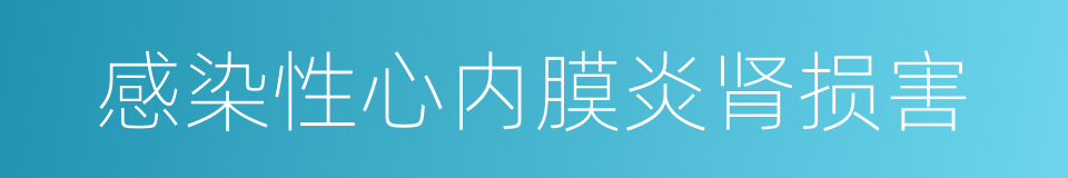 感染性心内膜炎肾损害的同义词