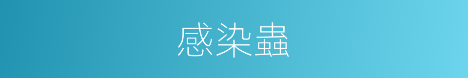 感染蟲的同義詞
