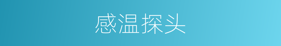 感温探头的同义词