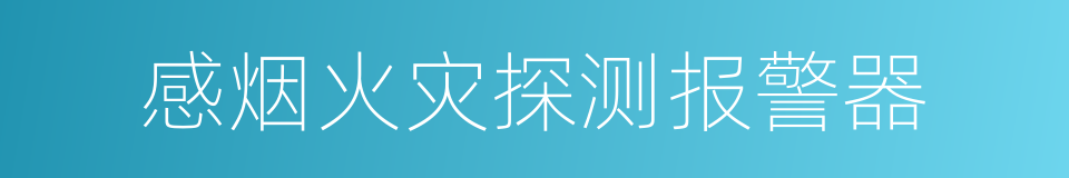 感烟火灾探测报警器的同义词