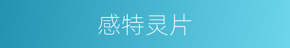 感特灵片的同义词