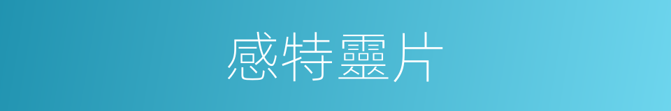 感特靈片的同義詞