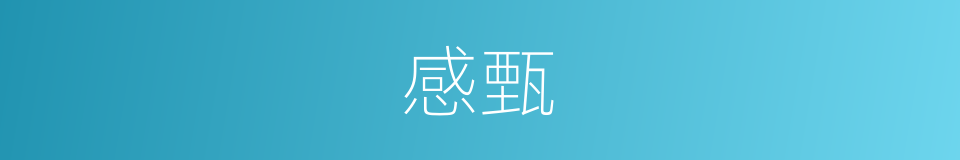 感甄的意思