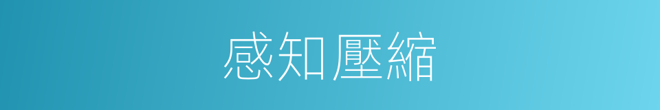 感知壓縮的同義詞