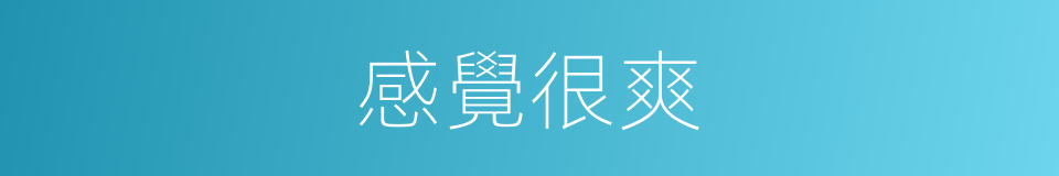 感覺很爽的同義詞