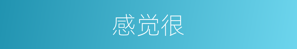 感觉很的意思