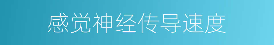 感觉神经传导速度的同义词