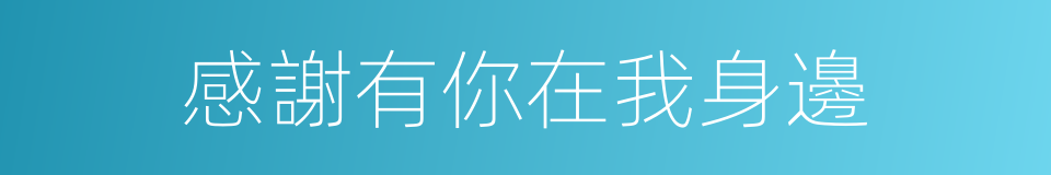 感謝有你在我身邊的同義詞