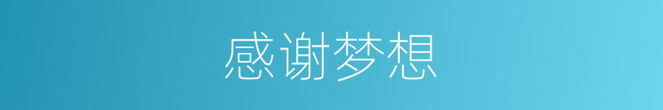 感谢梦想的同义词