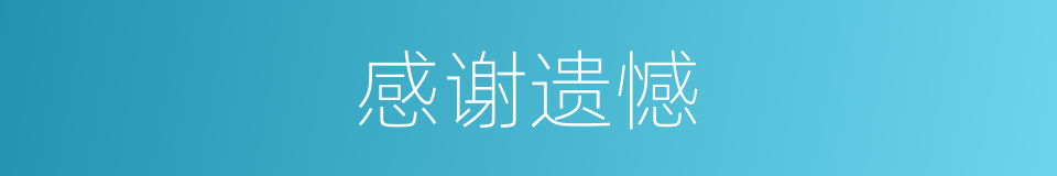 感谢遗憾的同义词