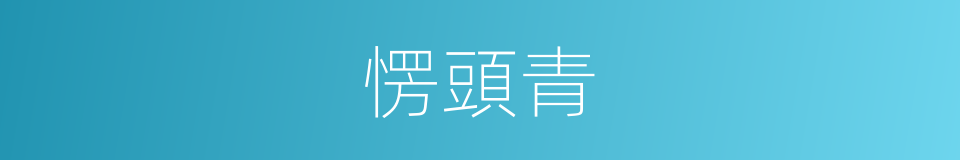 愣頭青的意思
