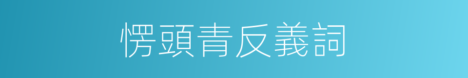 愣頭青反義詞的意思