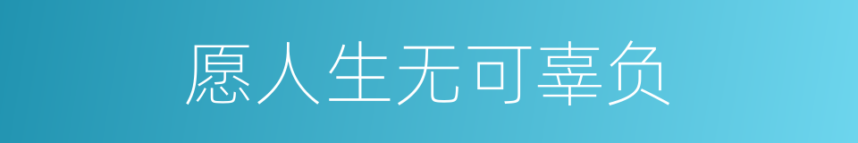 愿人生无可辜负的同义词