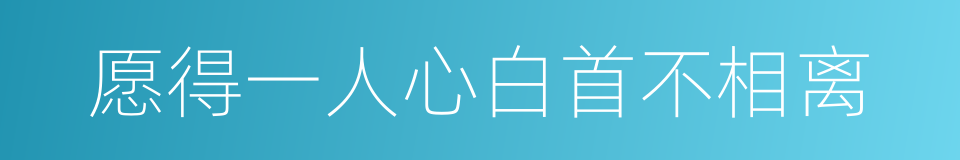 愿得一人心白首不相离的同义词